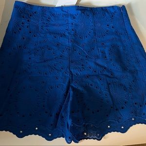 Zara Cute Blue NWT shorts Size M